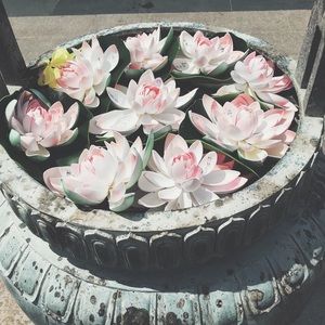 Meet your Posher, Winnie